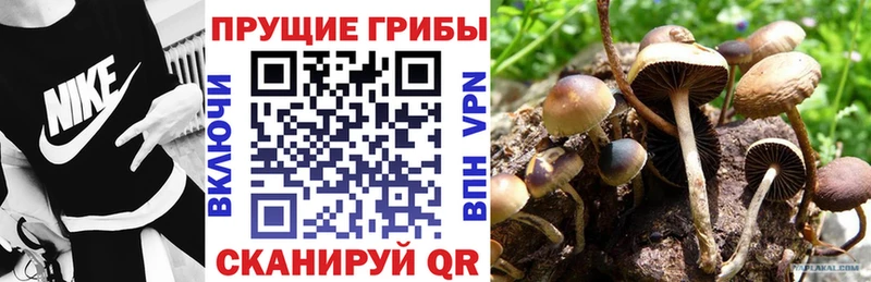 Псилоцибиновые грибы ЛСД  цена наркотик  Нытва 